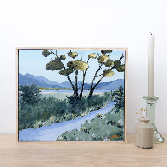 Discovering the Marshland