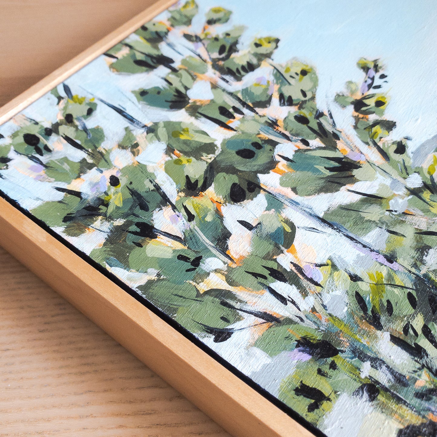 Trees And Meadow At Dawn