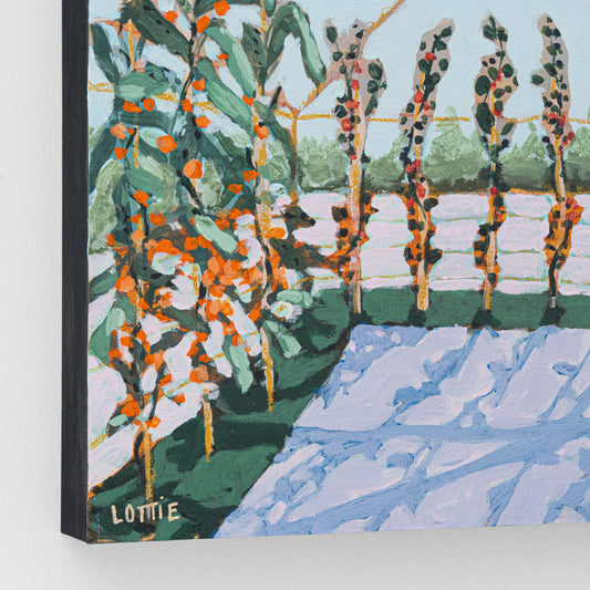 Citrus Smells - Orangerie