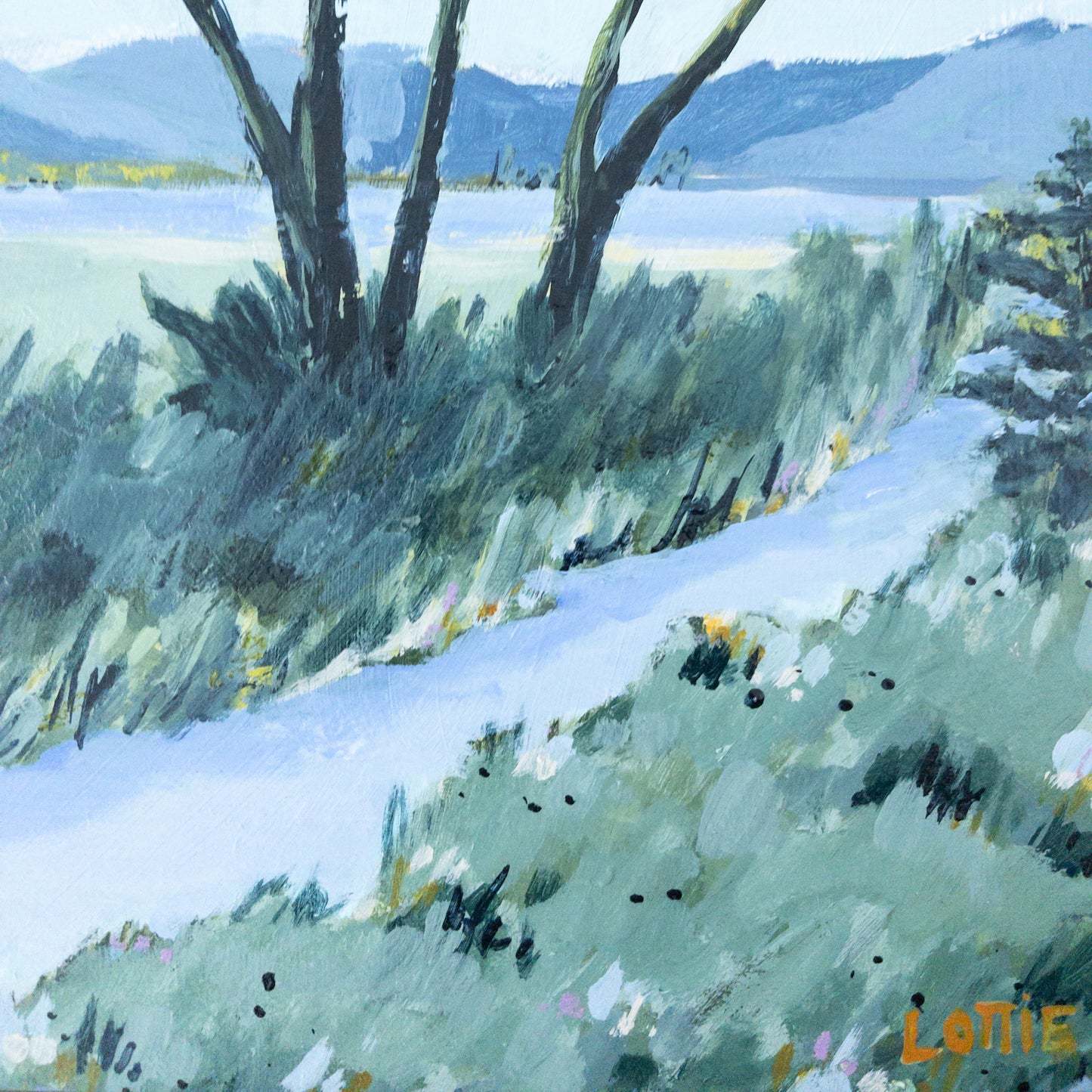 Discovering the Marshland