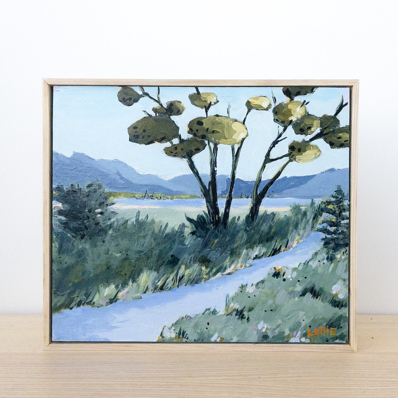 Discovering the Marshland